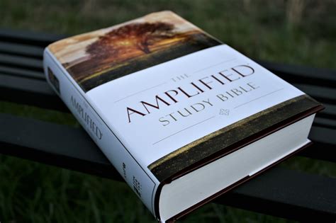 amp bible review|amp bible meaning.